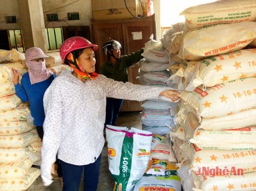 Nông dân Nghĩa Hoàn mua giống của HTX dịch vụ nông nghiệp Nghĩa Hoàn