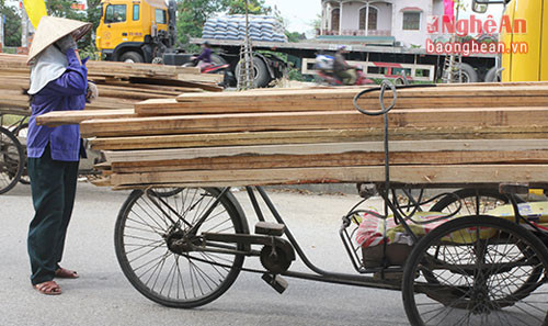 Bà Lan chở nhiều thứ hàng, kể cả những thứ nặng và cồng kềnh như gỗ, sắp thép, vật liệu xây dựng. Trong ảnh: Bà Lan được thuê chở gỗ về một công trình xây dựng ở Phường Vinh Tân.
