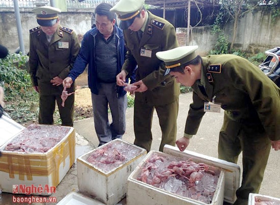 29/01/2016, Đội QLTT số 6 tiến hành kiểm tra lô hàng 04 thùng xốp dựng bên vệ đường không có người nhận;  phát hiện trong 04 thùng xốp có chứa 290 kg Chim cút đã qua sơ chế, không rõ nguồn gốc. 