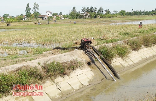 Nông dân Quỳnh Yên (Quỳnh Lưu) sử dụng máy thủ công để bơm nước vào tận ruộng.