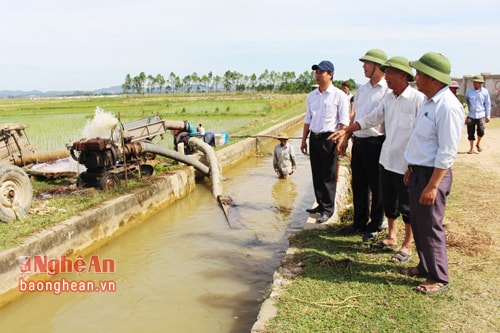 Để có nước làm đất gieo cấy, nhiều địa phương sử dụng máy có công suất lớn để bơm nước từ kênh tưới vào ruộng.