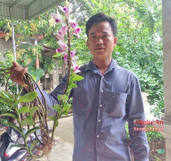 Anh Phạm Hồng Long - con trai của ông