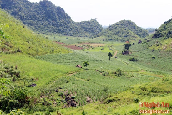 Hang Mó Hóa nằm trong quần thể núi non hùng vĩ thuộc địa phận xóm Tân Mùng, xã Giai Xuân (Tân Kỳ). 