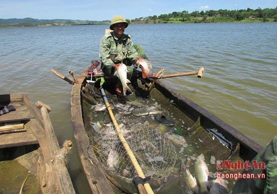 Thuyền đánh cá trên sông Sào