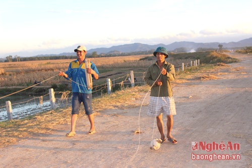 Dây sáo thường là dây dù dài hàng trăm mét, thường được quấn trong guồng, hoặc “đuôi cá” hay “chữ thập”. Mỗi lúc thả diều, người cầm dây phải chạy trước điều chỉnh, “giật dây” cho diều lên.