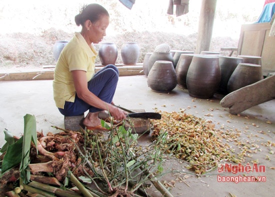 Bà Lang Thị Thân, bản Phục, xã Đôn Phục chặt các loại cây rừng để làm men rượu