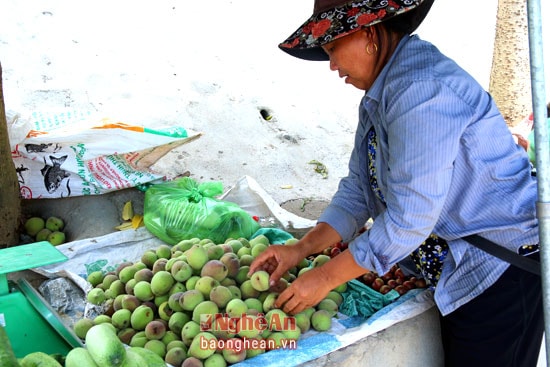 Bước vào mùa đào, bà con tranh thủ đưa ra các chợ xa để bán kiếm thêm thu nhập.