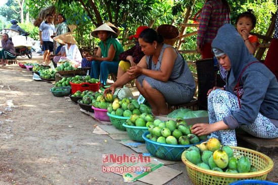 Tại Tương Dương, xoài cũng đã vào mùa thu hoạch.