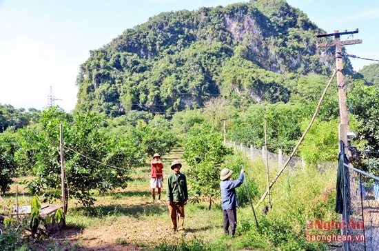 Hệ thống điện, giếng khoan tại vùng trồng cam theo dự án khôi phục thương hiệu cây cam Bãi Phủ được đầu tư đồng bộ.