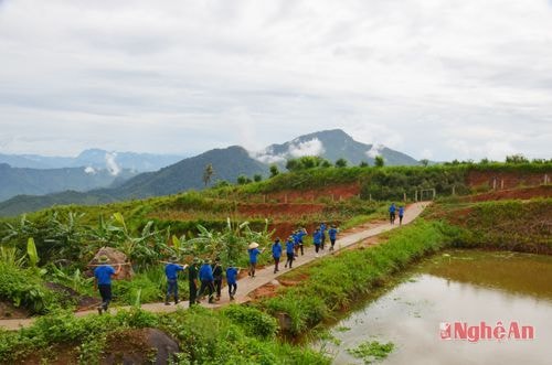 Trí thức trẻ tình nguyện tại Đoàn 4 đi làm nhiệm vụ hàng ngày.