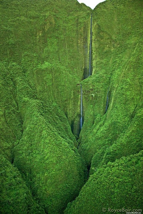 Thác Honokohau có độ cao lên tới 487m.