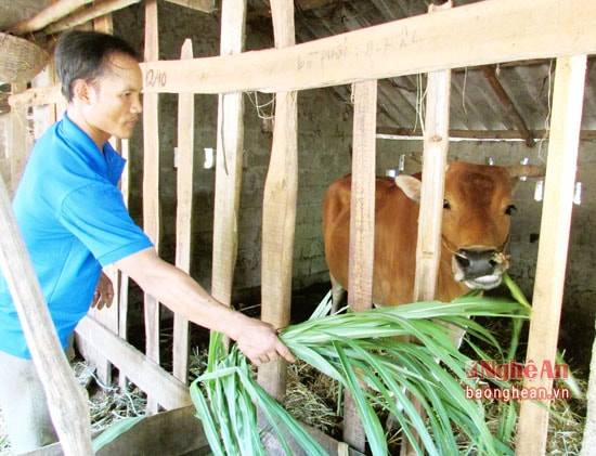 Công việc thường ngày của anh Phan Văn Hiếu.