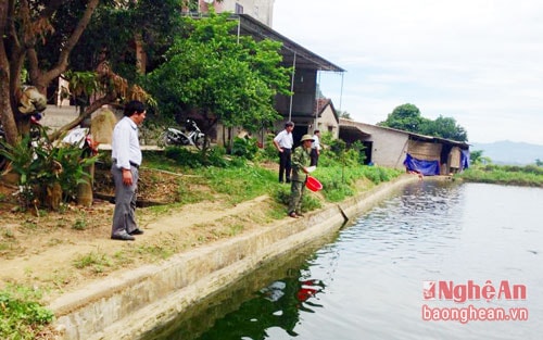 Trang trại tổng hợp VACR của anh Đặng Ngọc Khuyến thôn Nhân Tài xã Cẩm Sơn mỗi năm cho doanh thu 1,3 tỷ đồng