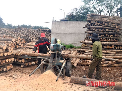 Chế biến gỗ tại CCN Hưng Lộc (Ảnh: Hoàng Vĩnh)