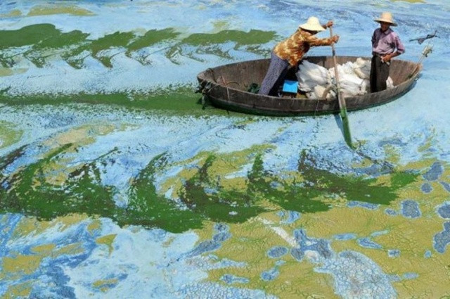Dù các ngư dân ở Trung Quốc đang phải chèo thuyền nhưng không giống như họ đang ở trên mặt nước.