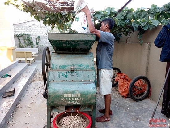 Những ngày này gần 30 máy xay lạc của Diễn Thịnh hoạt động hết công suất. Trung bình mỗi chủ máy cũng thu về khoảng 50 triệu đồng/vụ.