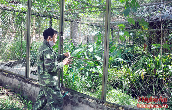 Cách đây hơn 2 tháng, Công an huyện Đô Lương bắt 1 vụ vận chuyển 5 con kỳ đà (là động vật quý hiếm) và giao lại cho Trung tâm Cứu hộ động vật hoang dã thộc VQG Pù Mát. 5 con kỳ đà này được nuôi dưỡng và chăm sóc trong ngôi nhà lưới.