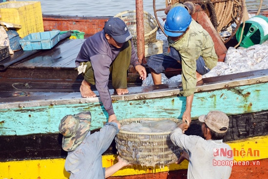 Ngư dân xã Diễn Ngọc, huyện Diễn Châu đánh bắt hải sản.