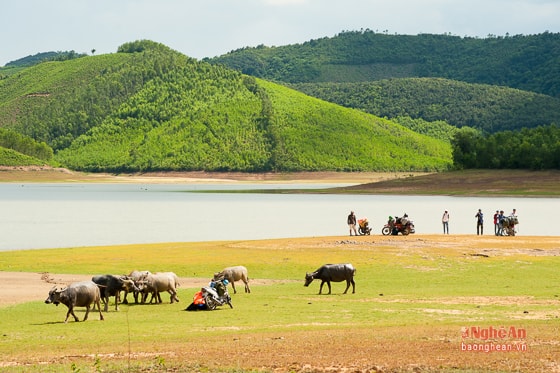 Đến Vệ Vừng vào mùa khô, nhiều đảo chìm lộ ra  tạo nên những bãi nổi bằng phẳng phù hợp cho việc cắm trại nghỉ ngơi