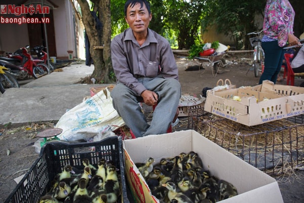 Nơi bán các con vật nuôi như ngan, gà, vịt con
