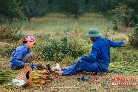 Còn đây là 2 vợ chồng trên cánh đồng cói