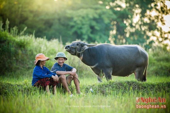 Hay đôi phút thành thơi thì sự bên nhau, chia sẻ 