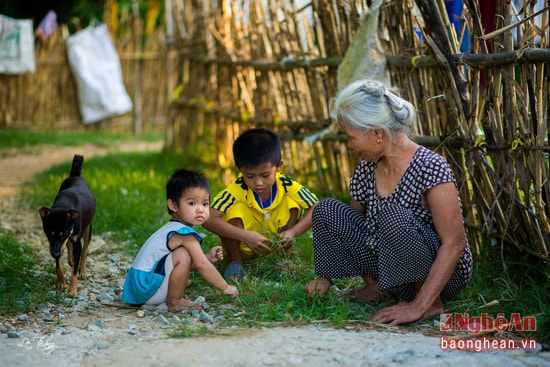 Bên con ngõ nhỏ, gặp hình ảnh này thật vô cùng thân thương