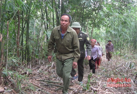Người dân Châu Bính và cán bộ kiểm lâm tuần tra  bảo vệ rừng.