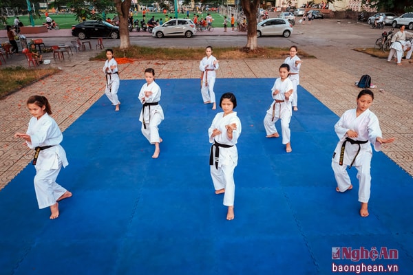 Hiệp hội Karatedo Nghệ An được thành lập theo Quyết định số 2442/QĐ-UBND ngày 3/7/2012 của UBND tỉnh Nghệ An. Trong đó các thành viên nữ chiếm một phần không nhỏ. Đặc biệt, dưới sự dẫn dắt của Huấn luyện viên Lê Thanh Tâm, đội tuyển nữ bao gồm 7 thành viên là những gương mặt đại diện tiêu biểu của tỉnh nhà khi tham gia biểu diễn và thi đấu cho các giải quốc gia