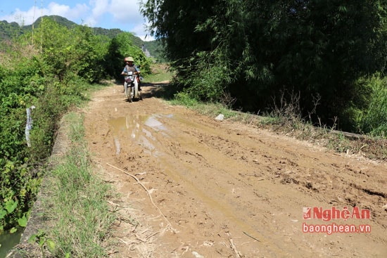 Mặt cầu xuống cấp nghiêm trọng và thành cầu không có khiến cho việc đi lại và vận chuyển nông sản của người dân vô cùng nguy hiểm.