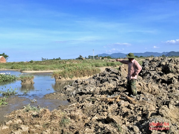 Vướng mắc đất nuôi trồng thủy sản ở Hồ điều hòa.