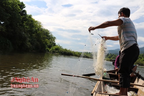 Chiếc lưới còm được người dân chài thả xuống dòng sông để bắt các loại cá nhỏ.