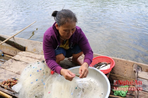 Trên thuyền bé nhỏ, cả ngày lang thang bắt cá trên sông, vợ chồng ông Khương cũng bắt được từ 3-5 kg cá, bán cho thương lái cũng được 3-4 trăm nghìn đồng.