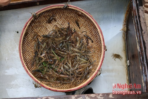 Tôm sông tươi rói, ngọt lừ là món hàng 