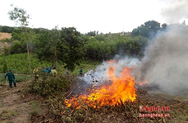 Các lực lượng dập tắt đám cháy với phương châm 