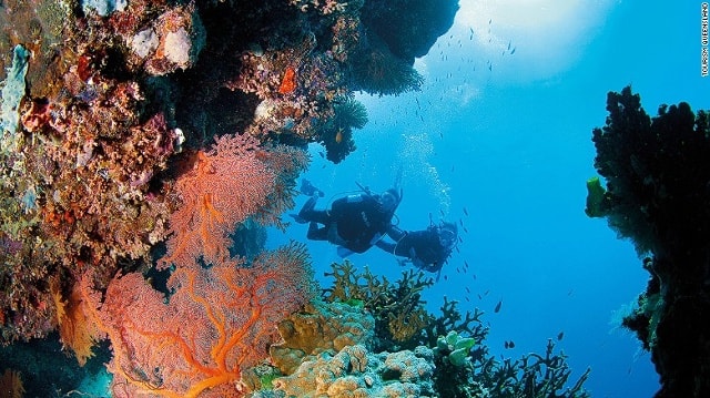 Rặng san hô Great Barrier Reef của nước Úc được UNESCO công nhận là Di sản Thế giới và là một trong bảy kỳ quan thiên nhiên thế giới. Nếu có dịp đến nơi đây thì những bãi san hô đầy màu sắc này có thể sẽ là cảnh đẹp nhất mà bạn thấy trong đời. Tuy nhiên nếu có ý định tham quan Great Barrier Reef thì bạn nên đến sớm khi mà san hô ở đây đang chết dần vì bị tẩy trắng do biến đổi khí hậu.