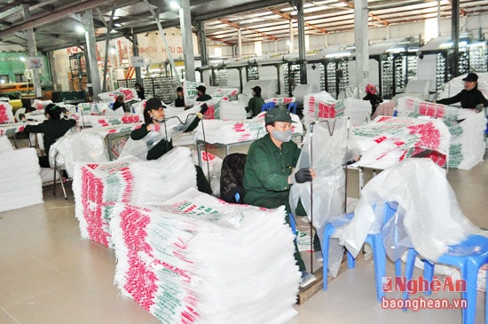doanh nghiệp đã đóng góp quan trọng vào huy động nguồn lực xã hội, thúc đẩy tăng trưởng kinh tế, đảm bảo an sinh xã hội; tăng thu ngân sách của tỉnh trong những năm qua. 