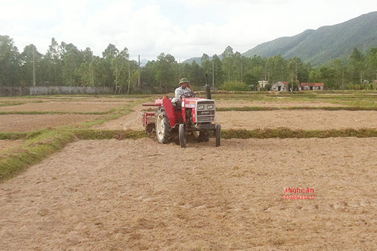 Máy cày làm đất trên chuẩn bị gieo lúa