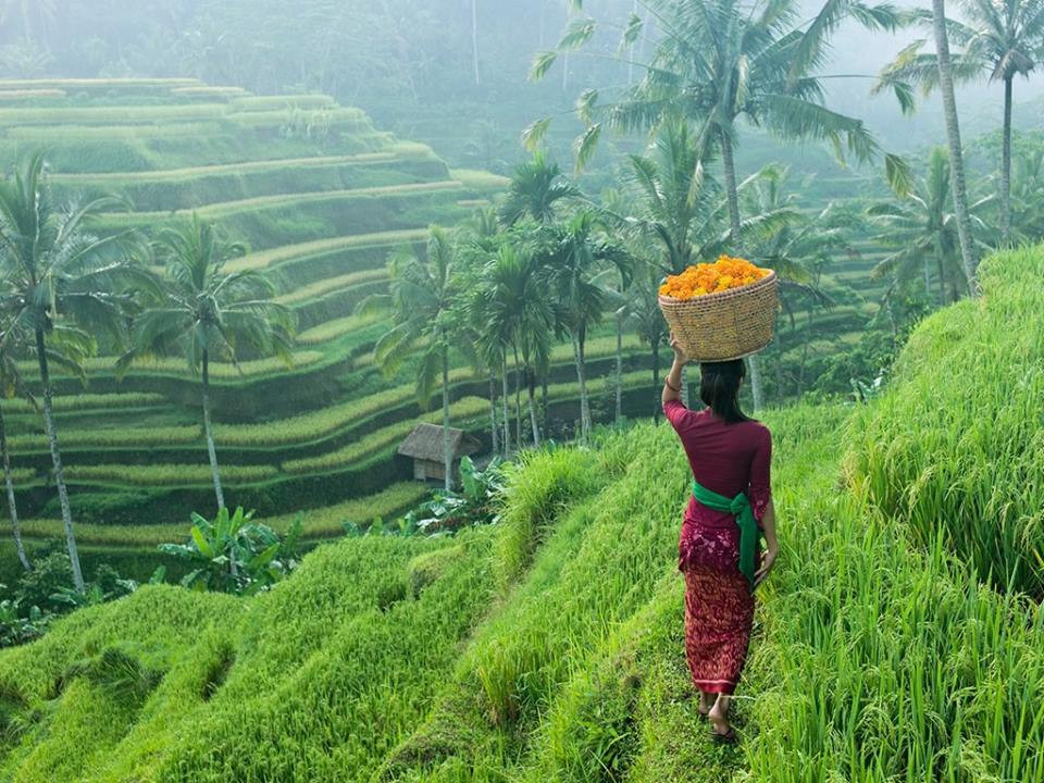 Sa Pa, Hội An, Hạ Long, top cảnh đẹp nhất châu Á, du lịch, ảnh đẹp