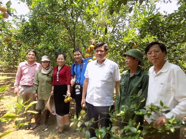 Thứ trường Bộ NN&PTNT Trần Thanh Nam thăm mô hình trồng cam của gia đình ông Hồ Văn Lê xóm Minh Kính xã Minh Hợp tháng 5-2016