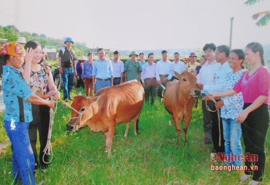 Hội Nông dân xã Quỳnh Tân trao bò cho 2 hộ nghèo năm 2015.