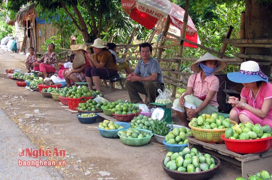 Xoài được người dân mang ra xếp hàng dài ở hai bên quốc lộ 7 bán cho các du khách gần xa.