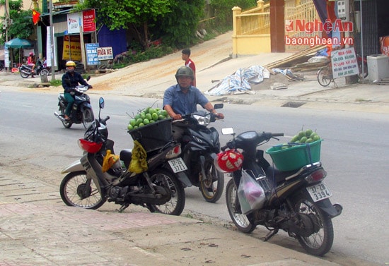 Lên thị trấn Hòa Bình trong những ngày này, du khách dễ bắt gặp hình ảnh những chiếc xe chở đầy xoài đậu hai bên quốc lộ 7.