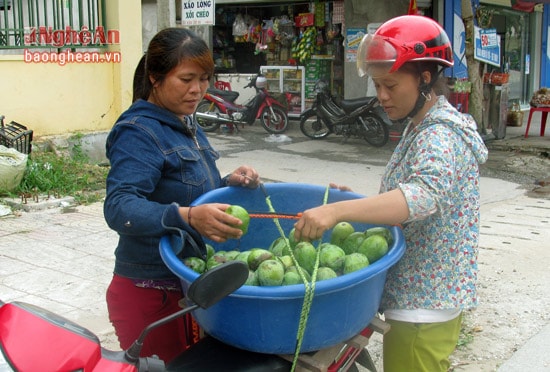 Hiện nay mỗi kg xoài bán tại vườn là 15000 đồng/kg.