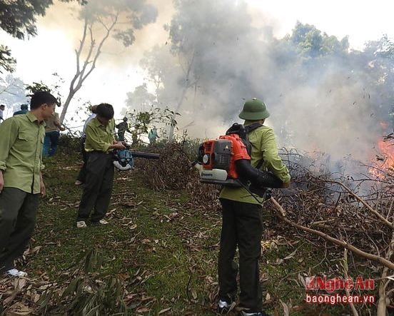 Diễn tập phòng chống cháy rừng tại huyện Quỳ Hợp. Ảnh: Baonghean.vn