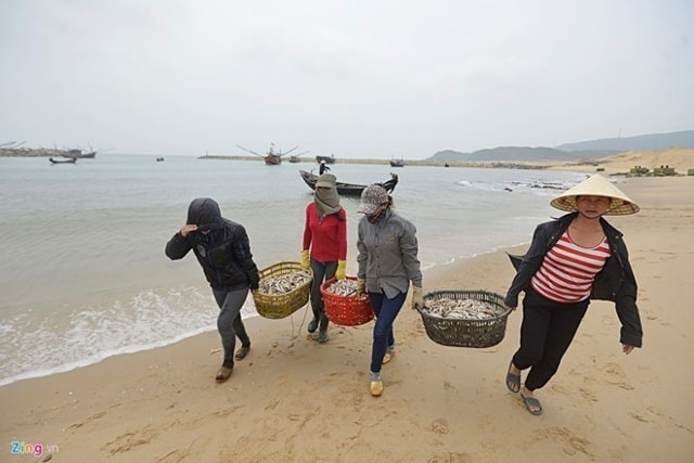 Ngư dân thiệt hại nặng nề sau sự cố cá chết hàng loạt.