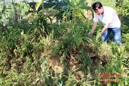 Hầu hết những ngôi mộ đá của người Mông ít khi được thăm nom nên bị cây cối mọc lên bao trùm.