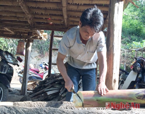 Tận dụng thức ăn tại chỗ do anh trồng trong vườn đã tạo hiểu quả trong chăn nuôi