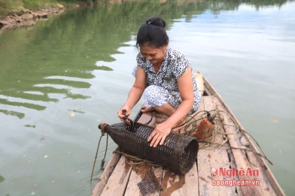 However, baits are still necessary to attract shrimps to come inside the trap. Those baits are often savory burned pork skin.