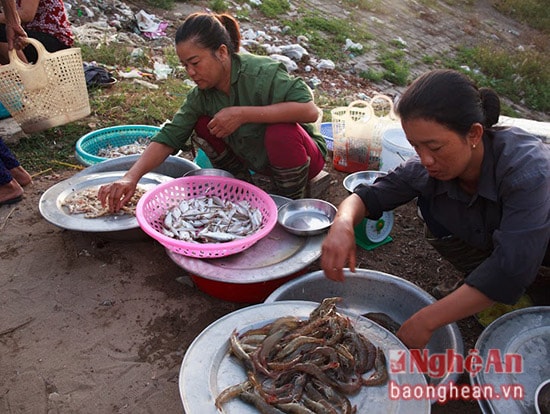 Tôm, cá bán ở đây được đánh lên từ sông, từ đầm